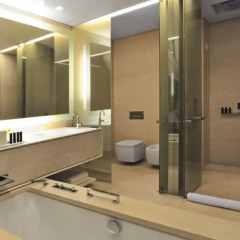Отель Hyatt Centric Levent Istanbul ванная