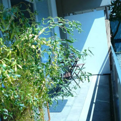 Отель Cityapartment Köln Кёльн балкон