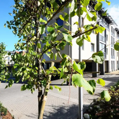Отель Oliwski Hotel Польша, Гданьск - отзывы, цены и фото номеров - забронировать отель Oliwski Hotel онлайн