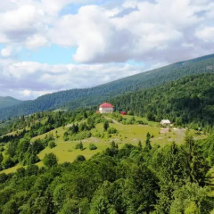 База отдыха Камянка фото 13