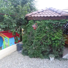 Гостиница Guesthouse Solnechnyiy детские мероприятия