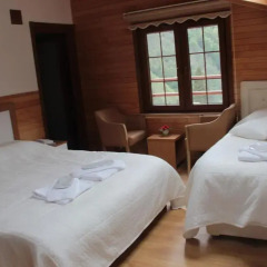 Ayder Umit Otel 3* Номер Делюкс с различными типами кроватей фото 13