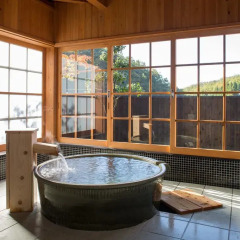 Отель Ryokan Miyama Sansou Минамиогуни бассейн фото 3
