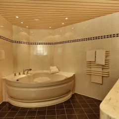 H+ Hotel Hannover спа