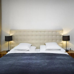 The ICON Hotel & Lounge 4* Стандартный номер с различными типами кроватей фото 4