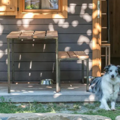 Отель Verneda Mountain Resort с домашними животными