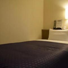 Asakusa Central Hotel 3* Стандартный номер с различными типами кроватей фото 12