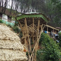 Отель Kathmandu Eco Hostel Непал, Катманду - отзывы, цены и фото номеров - забронировать отель Kathmandu Eco Hostel онлайн фото 4