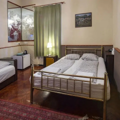 Antique Guest House and Hostel Стандартный номер с различными типами кроватей фото 11