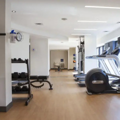 Отель Les Suites Hotel Канада, Оттава - отзывы, цены и фото номеров - забронировать отель Les Suites Hotel онлайн фитнесс-зал фото 2