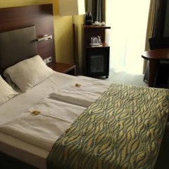 Hotel Wallis комната для гостей фото 5