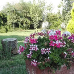 Отель La Casa Dei Sogni Сиракуза фото 3