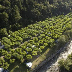 Отель Verneda Mountain Resort Испания, Вьельа Э Михаран - отзывы, цены и фото номеров - забронировать отель Verneda Mountain Resort онлайн фото 4