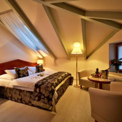 Hotel Carlton 4* Полулюкс с различными типами кроватей