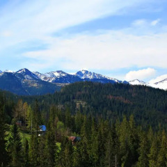 Отель Apartament M5 Zakopane Закопане фото 3