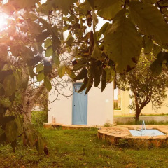 Отель Olive Grove Resort 3* Студия с различными типами кроватей фото 46
