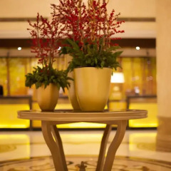 Отель Beijing Continental Grand Hotel Китай, Пекин - отзывы, цены и фото номеров - забронировать отель Beijing Continental Grand Hotel онлайн фото 4