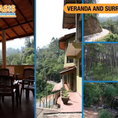 Отель Oasis Holiday Home Стандартный номер с различными типами кроватей фото 3