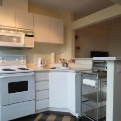Отель City View Yaletown Studio Канада, Ванкувер - отзывы, цены и фото номеров - забронировать отель City View Yaletown Studio онлайн в номере фото 2