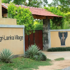 Отель Shangri-Lanka Village Бунгало Делюкс с различными типами кроватей фото 23