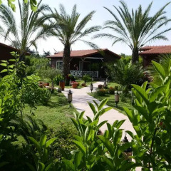 Aida Hotel 3* Бунгало Делюкс с различными типами кроватей фото 6