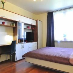 Апартаменты Apartment Evia Санкт-Петербург комната для гостей фото 3