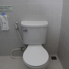 Отель Dinar Lodge ванная