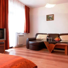 Apart Hotel Flora Residence Боровец удобства в номере