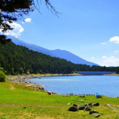 Отель Borda del Mollà - R de rural