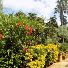 Отель B&B Asparano Сиракуза фото 11