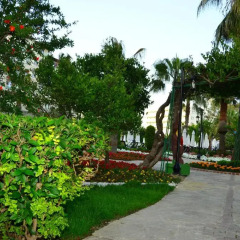 Bella Resort & Spa Турция, Сиде - отзывы, цены и фото номеров - забронировать отель Bella Resort & Spa - All Inclusive онлайн фото 6