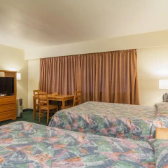 Отель English Bay Hotel Канада, Ванкувер - отзывы, цены и фото номеров - забронировать отель English Bay Hotel онлайн комната для гостей фото 3