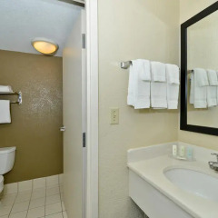 Отель Comfort Inn & Suites near Universal Orlando Resort 2* Стандартный номер с различными типами кроватей фото 6
