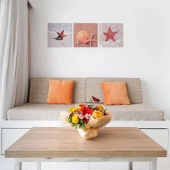Отель Apartamentos Playas Cas Saboners Улучшенные апартаменты с различными типами кроватей фото 2