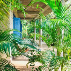 Отель Kataragama Homestay фото 12