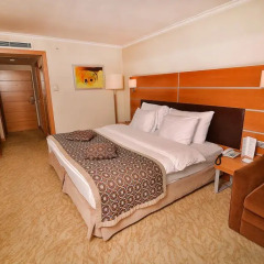 Ankara Plaza Hotel 4* Номер Делюкс двуспальная кровать фото 5