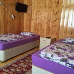 Отель Vav Pension детские мероприятия фото 2