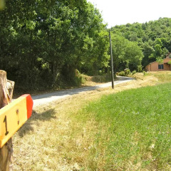 Отель Agriturismo Fattoria La Prugnola Монтескудаио с домашними животными