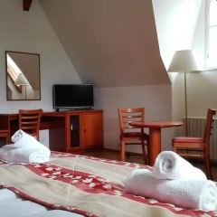 Hotel Jana / Pension Domov Mladeze Номер Комфорт с различными типами кроватей фото 5