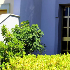 Отель Cesari Home Лечче сауна