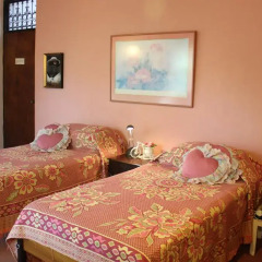 Отель Vista Garden Guest House 3* Стандартный номер с различными типами кроватей фото 2