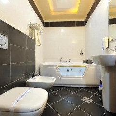 Sucevic Hotel 4* Номер Комфорт с различными типами кроватей фото 8