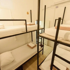 Warm White Hostel Стандартный номер с различными типами кроватей фото 3