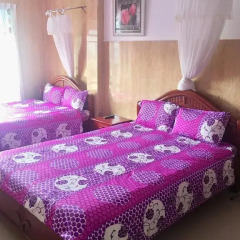 Отель Hoang Vu Guest House Стандартный номер