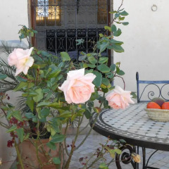 Отель Riad Fez Yamanda Марокко, Фес - отзывы, цены и фото номеров - забронировать отель Riad Fez Yamanda онлайн фото 6