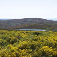 Hotel Rural Tierra de Lobos 3* Стандартный номер с различными типами кроватей фото 3