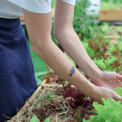 Hom Hostel & Cooking Club Бангкок фитнесс-зал фото 2