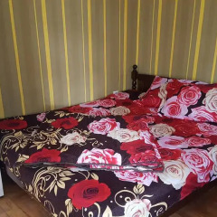 Hostel Alex Стандартный номер с двуспальной кроватью (общая ванная комната) фото 6