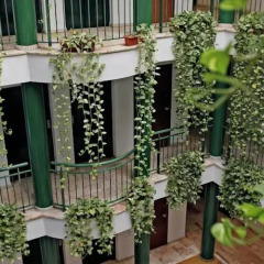 Отель Apartamentos Vértice Bib Rambla Испания, Севилья - отзывы, цены и фото номеров - забронировать отель Apartamentos Vértice Bib Rambla онлайн фото 9