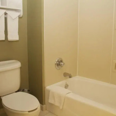 Отель Hampton Inn & Suites Chicago Downtown 3* Стандартный номер с различными типами кроватей фото 3